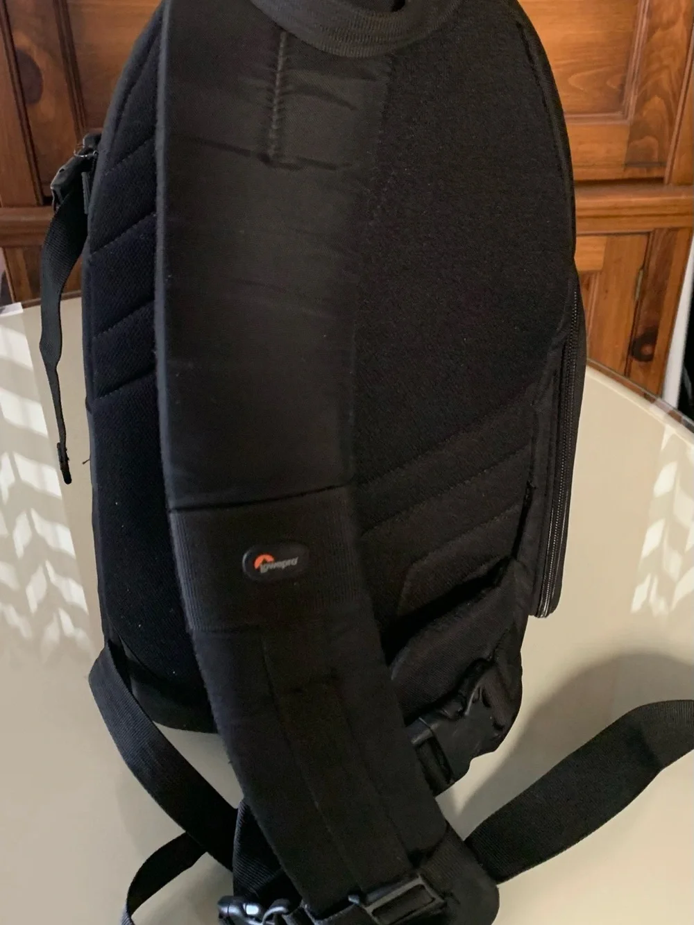 Lowepro Black & Gray Camera Backpack - Compact Protective Case